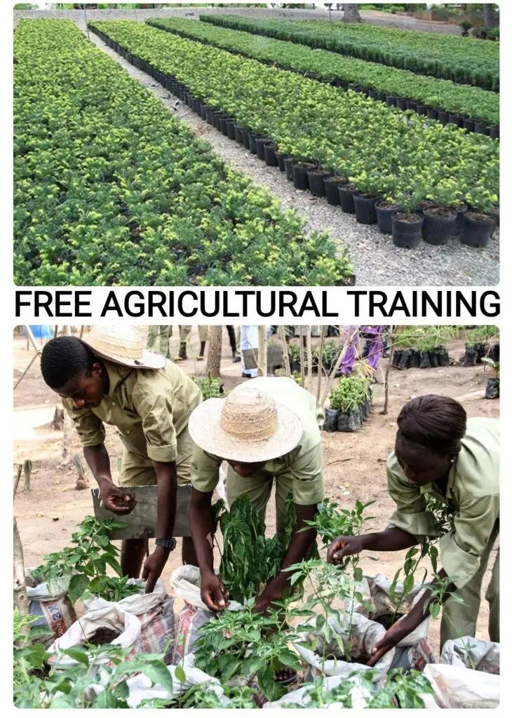 Free 1-Year Training Programme in Modern and Sustainable Agriculture!