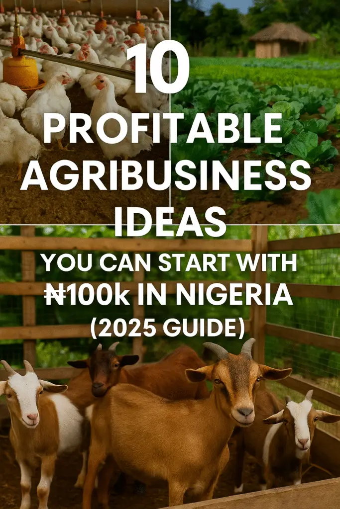 Profitable agribusiness ideas in Nigeria