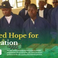 Check NDE Application Status 2025